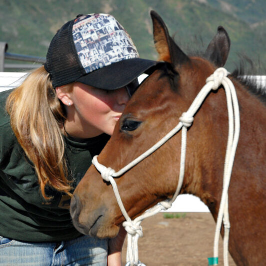 Equine Therapy At Uinta Academy